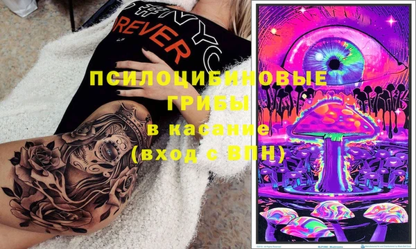 ешки Белокуриха