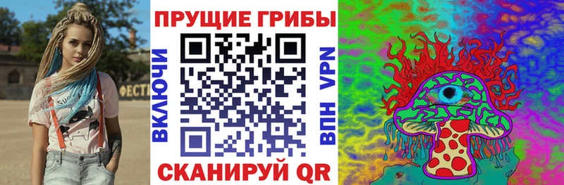 где можно купить Малмыж Галлюциногенные грибы ЛСД